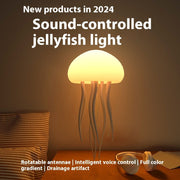 Jellyfish Lamp By Dishel
